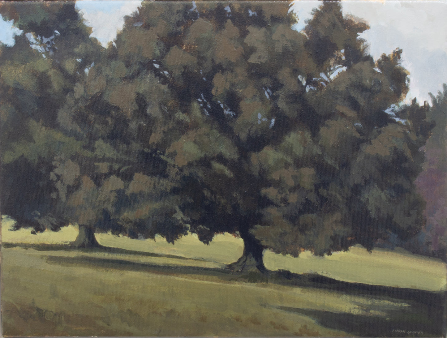 Oaks at Russborough House