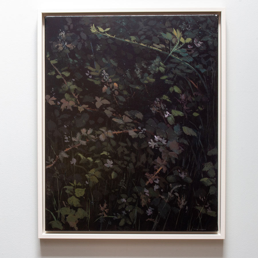 The forest edge