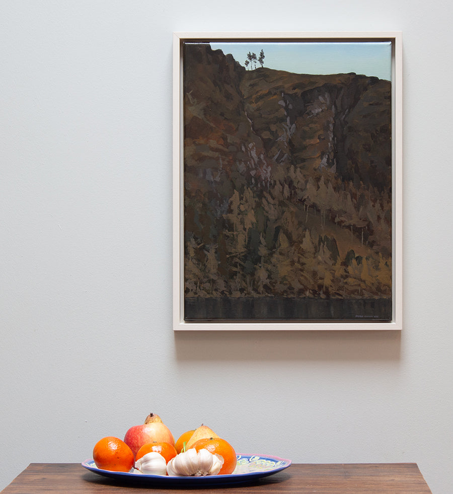 The Spinc Valley Wall - Glendalough