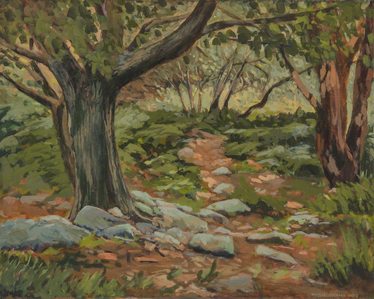 Print of a glade in a forest in the Scalp Wicklow, a large Oak tree is the main focus, a rocky track with ferns runs through the middle of the trees .