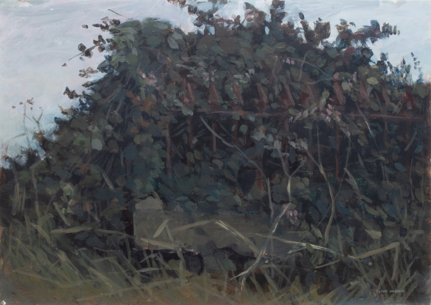 The old grave, Duncannon