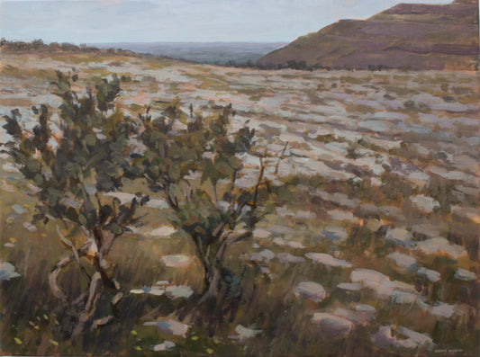 Eagles Rock, the Burren