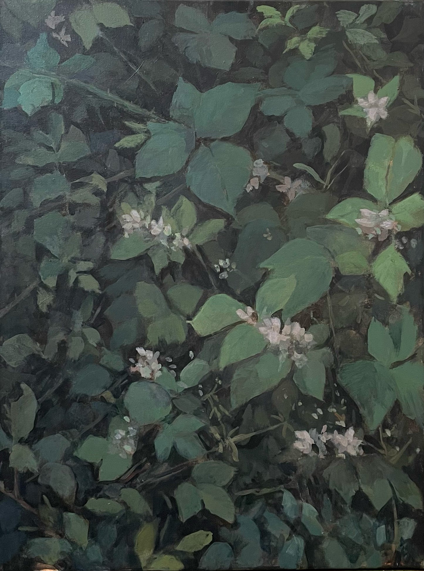 Hedgerow shadows