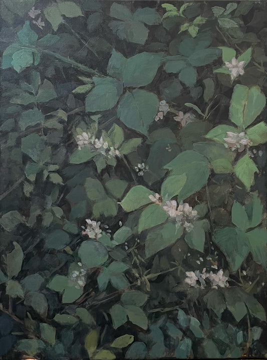 Hedgerow shadows