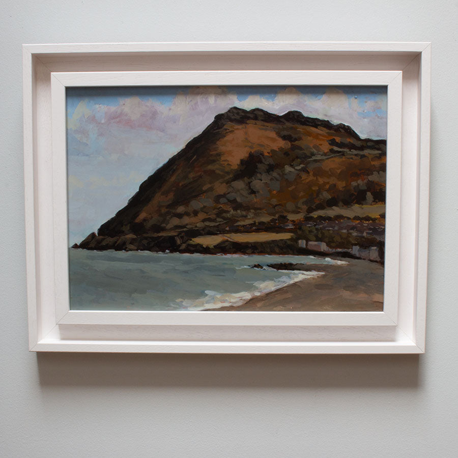 Bray Head #1