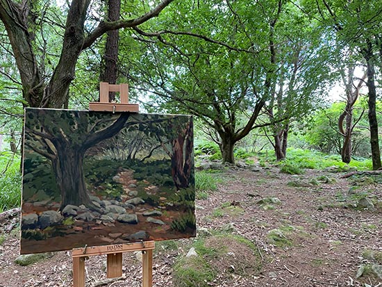 A painting is in progress on an easel in a clearing in a forest of oaks and scots pines at the Scalp in Wicklow