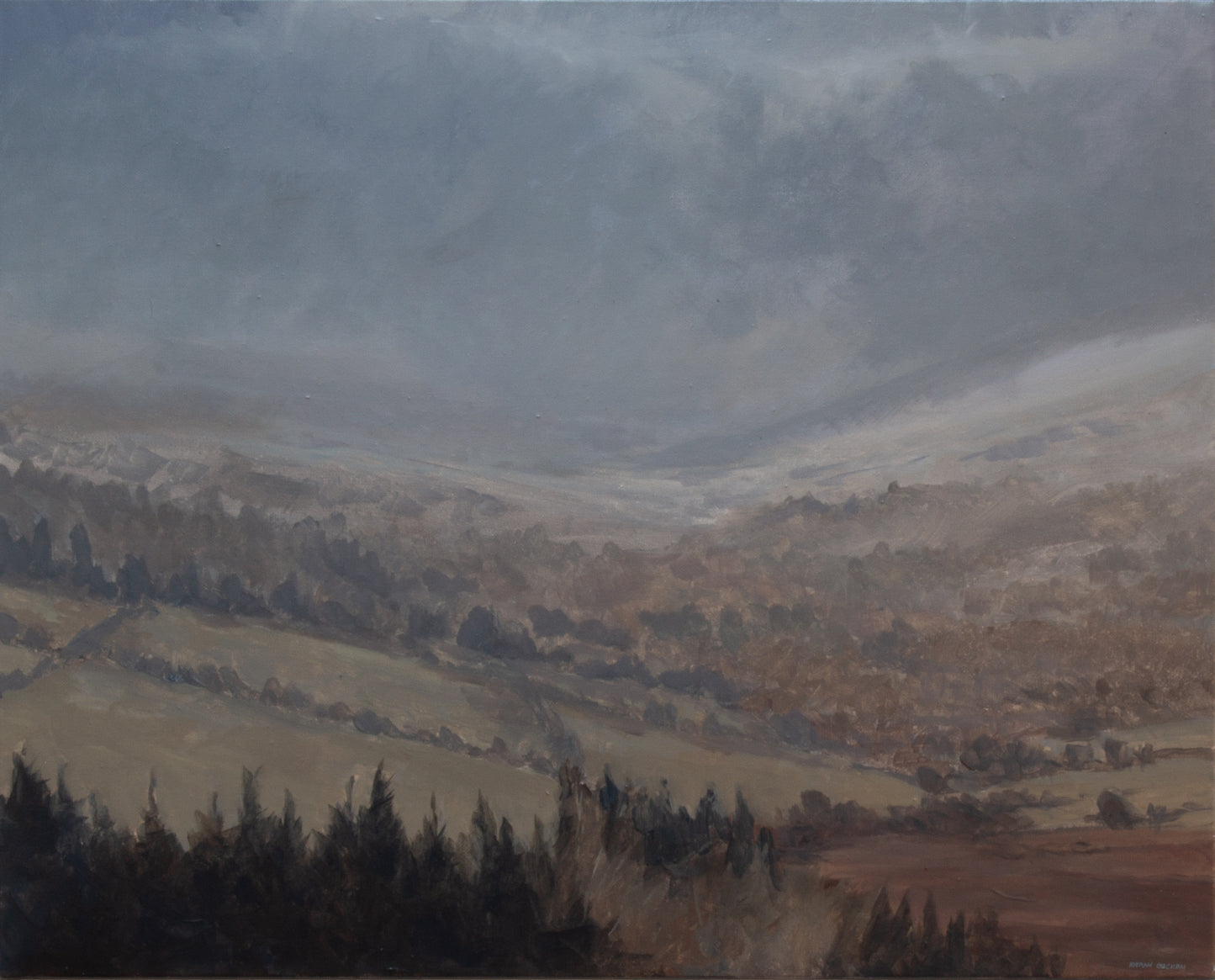 Rainstorm, Glencree Valley