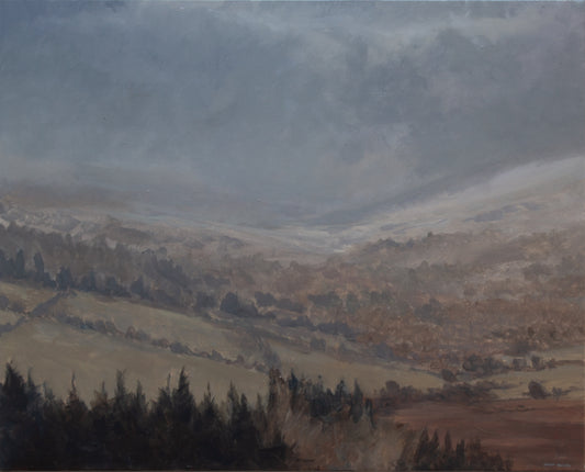 Rainstorm, Glencree Valley