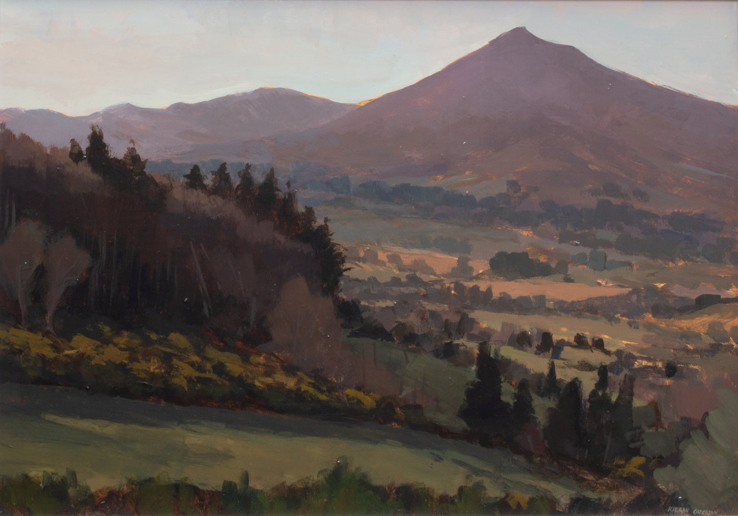 Carrickgollogan, early morning