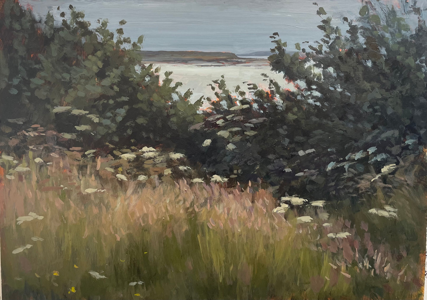 The gap, Balbriggan