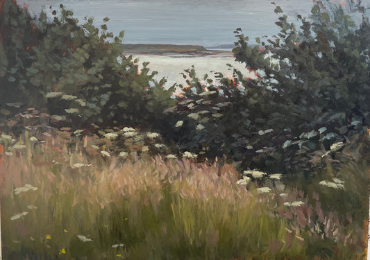 The gap, Balbriggan