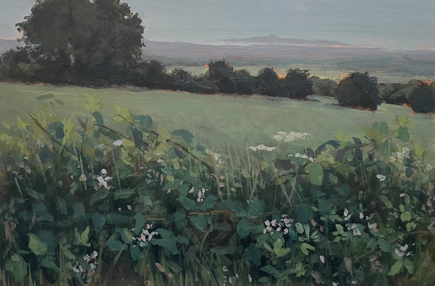 Ardgillan Castle, towards Skerries