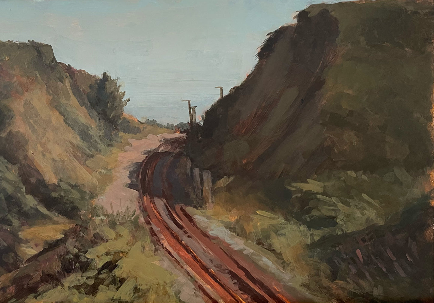 The railway cutting, Bray Head