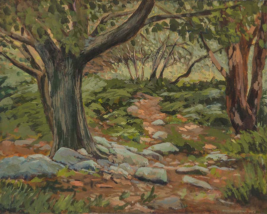 Painting of glade in a forest in the Scalp Wicklow, a large Oak tree is the main focus. A rocky track with ferns runs through the middle of the trees.