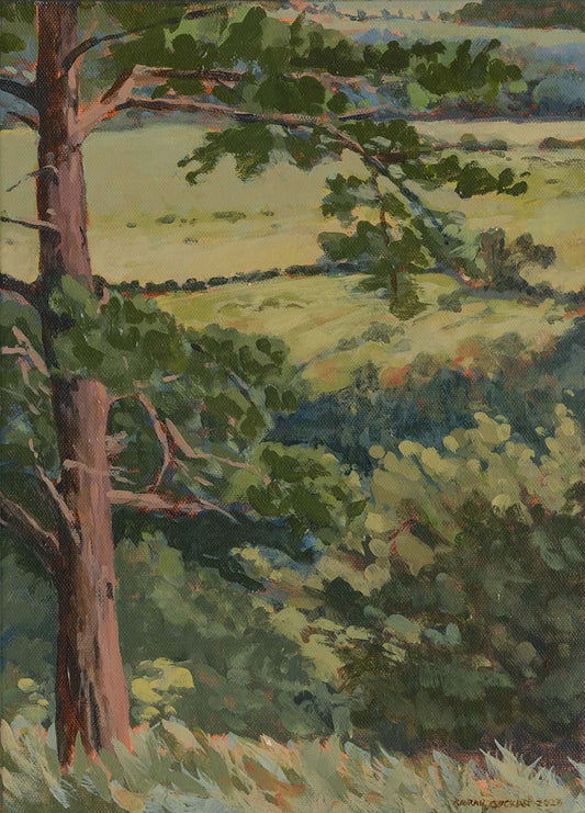 Painting of a Scots pine tree on the Scalp in Wicklow, the tree is the main focus of the painting, background shows farmland and fields.
